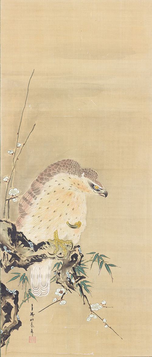 勝部如春斎《古梅鷲図》18世紀　新収蔵作品