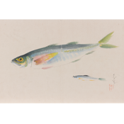 大野麥風「魚の画家」展